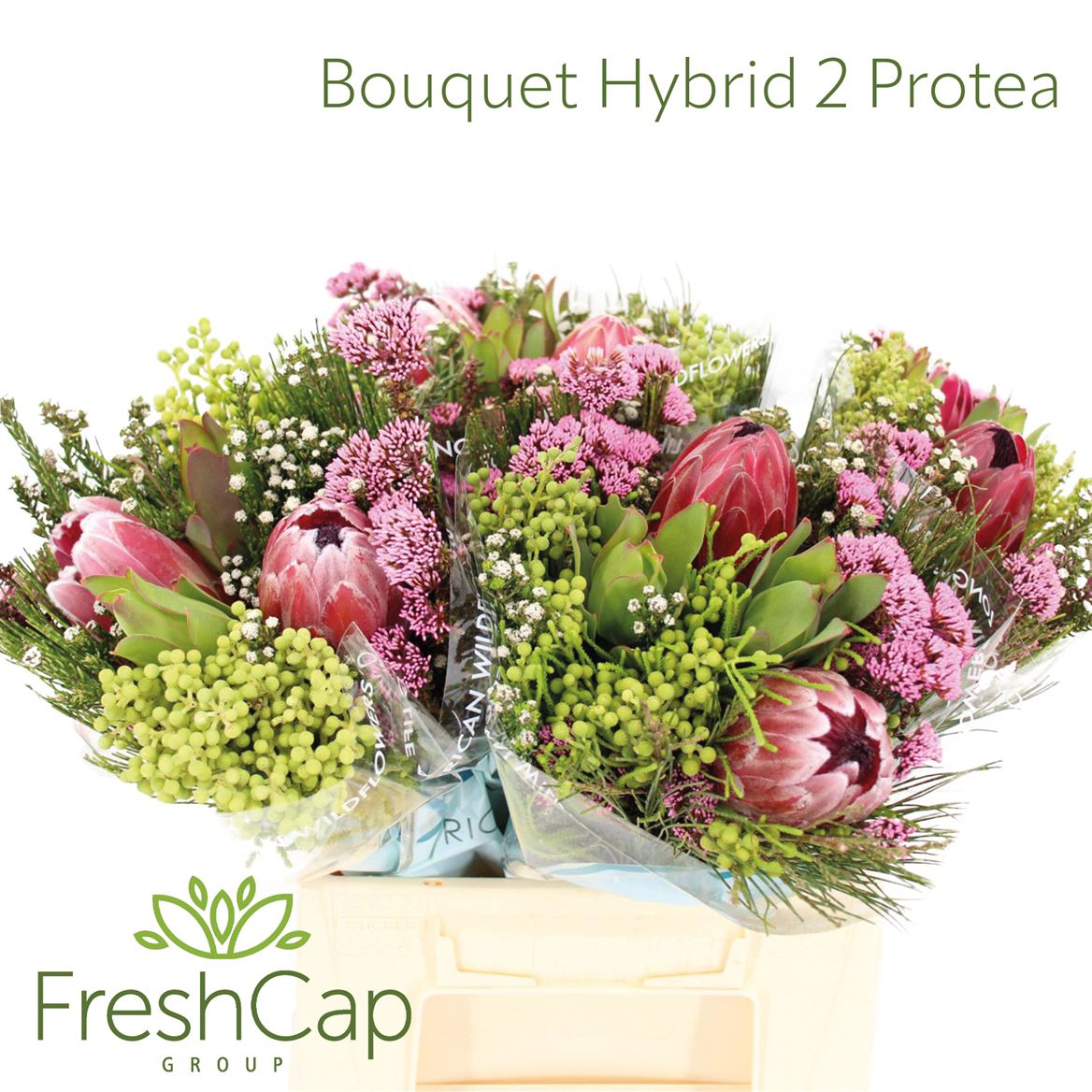 Brunia Cape Mix Bunch 40cm
