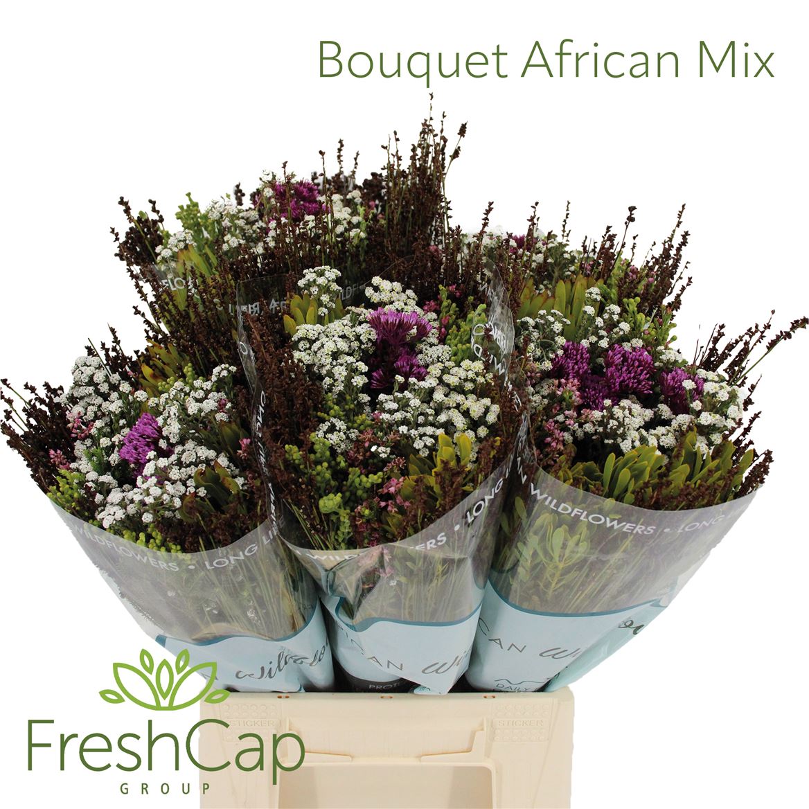 Cape Green African Mix 40cm