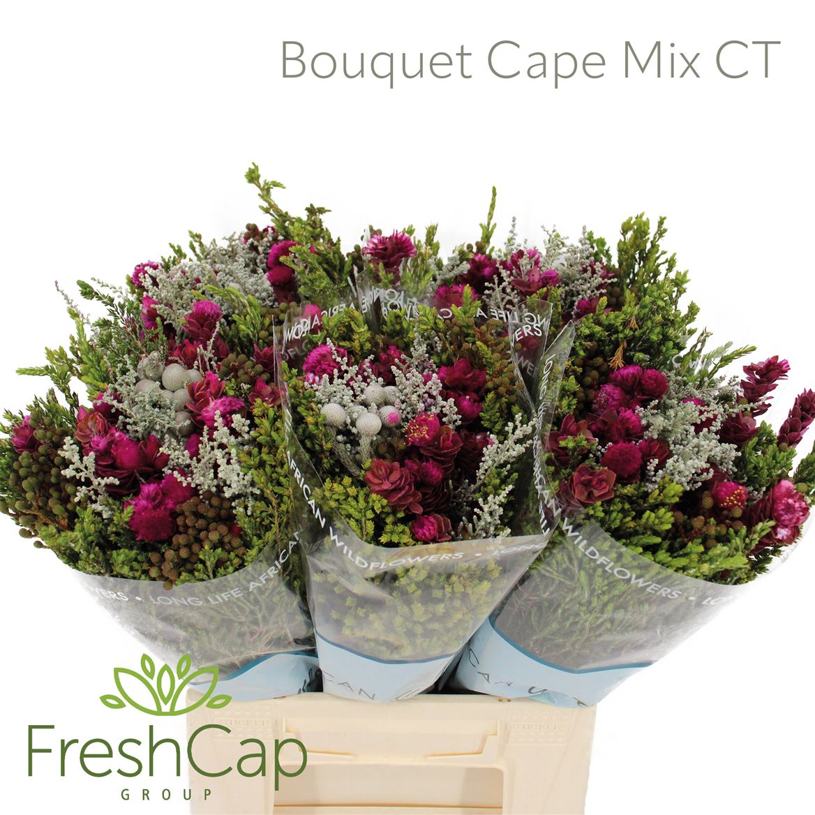 Brunia Cape Mix Tinted Bouquet 40cm
