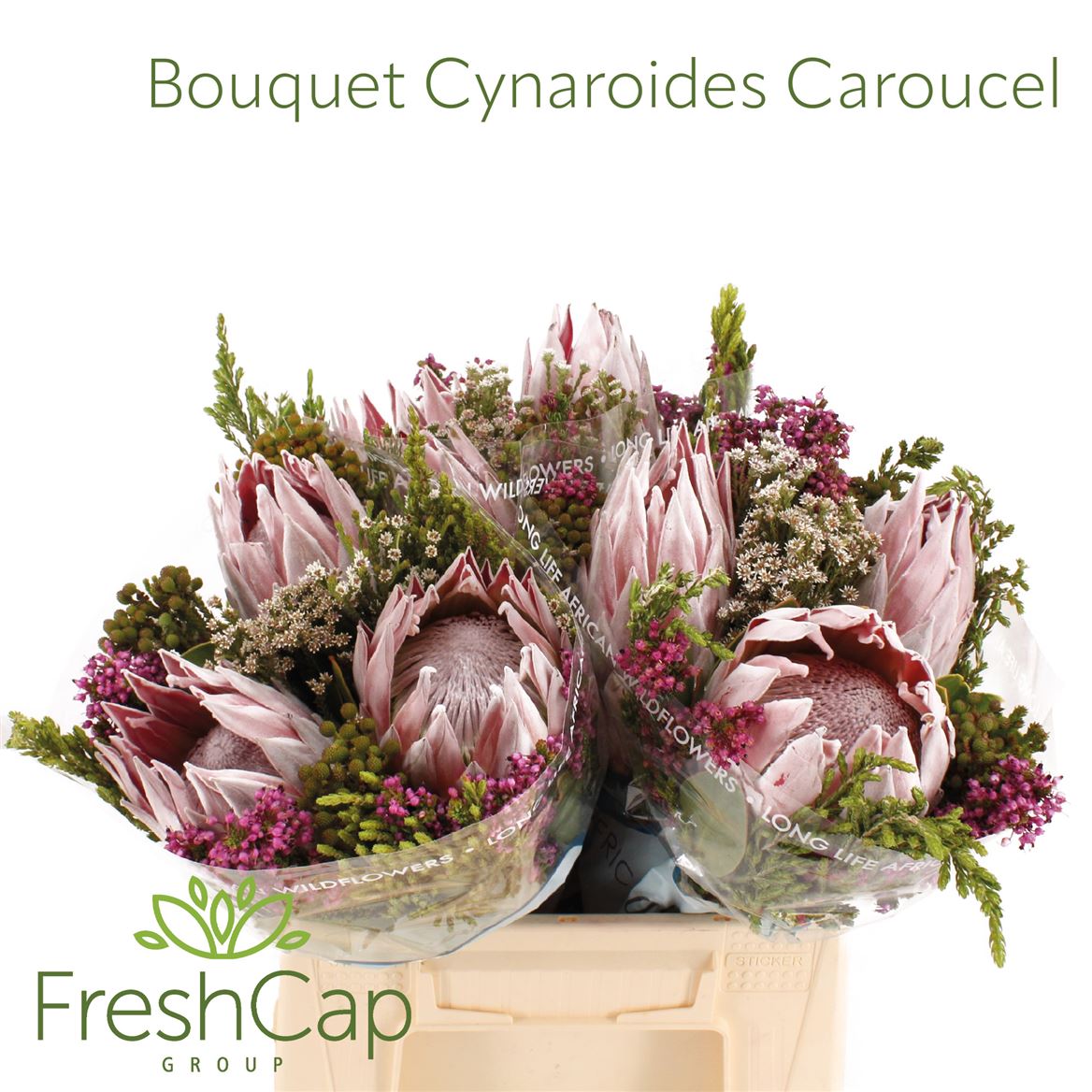 Cape Green Mixed In Bunch (BERZELIA) 40cm