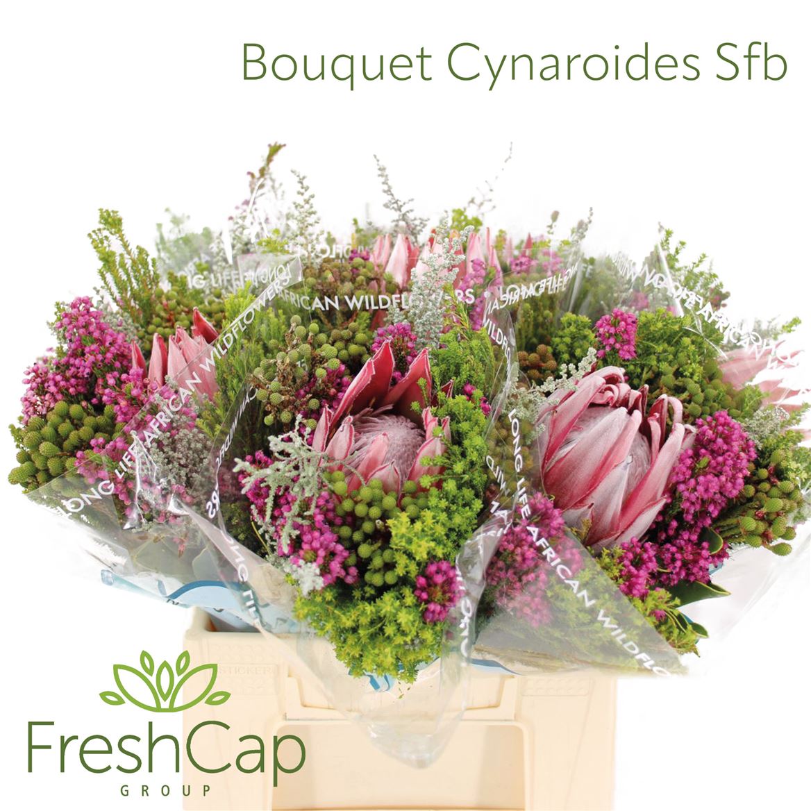 Brunia Cape Mix Bunch 40cm
