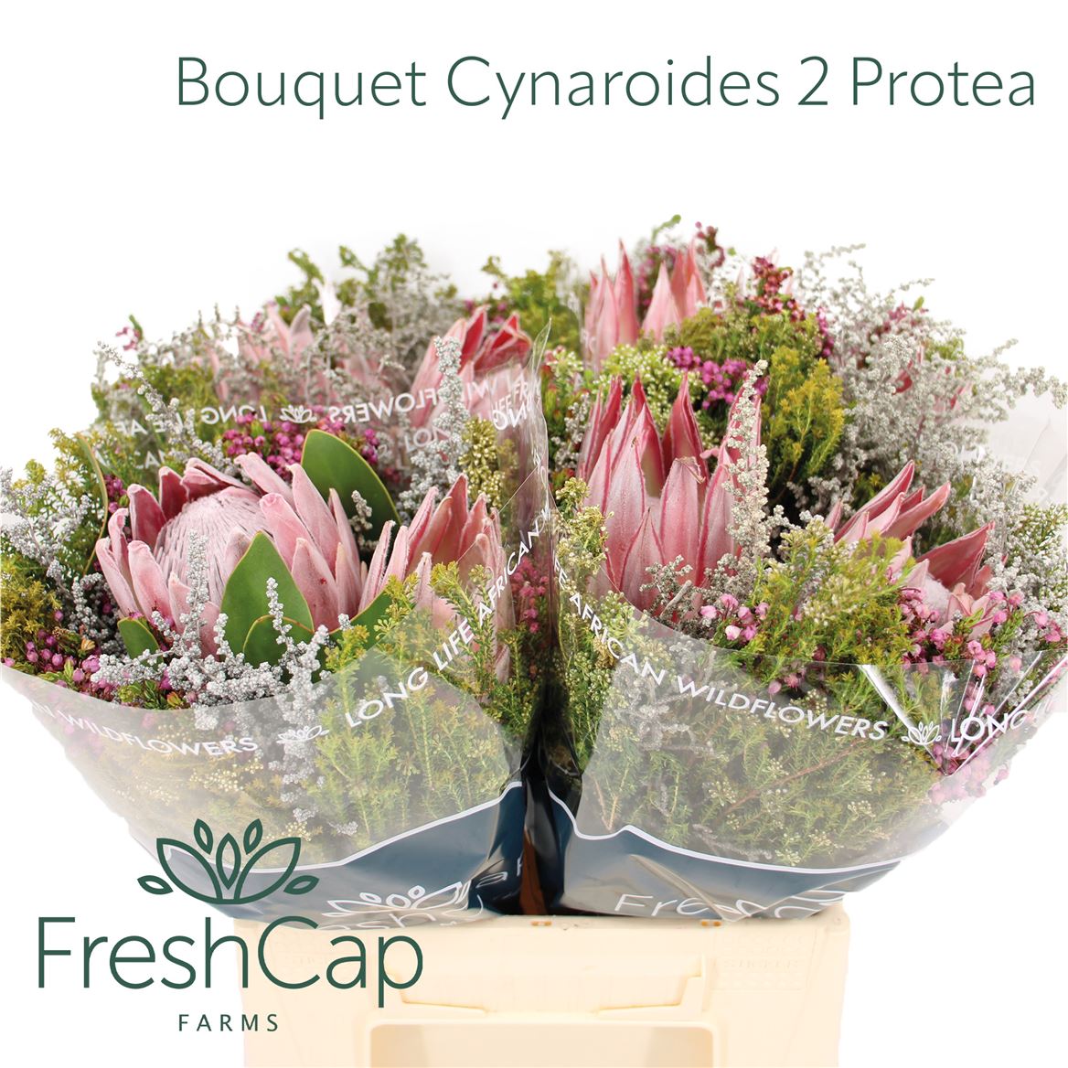 Brunia Cape Mix Bunch 40cm