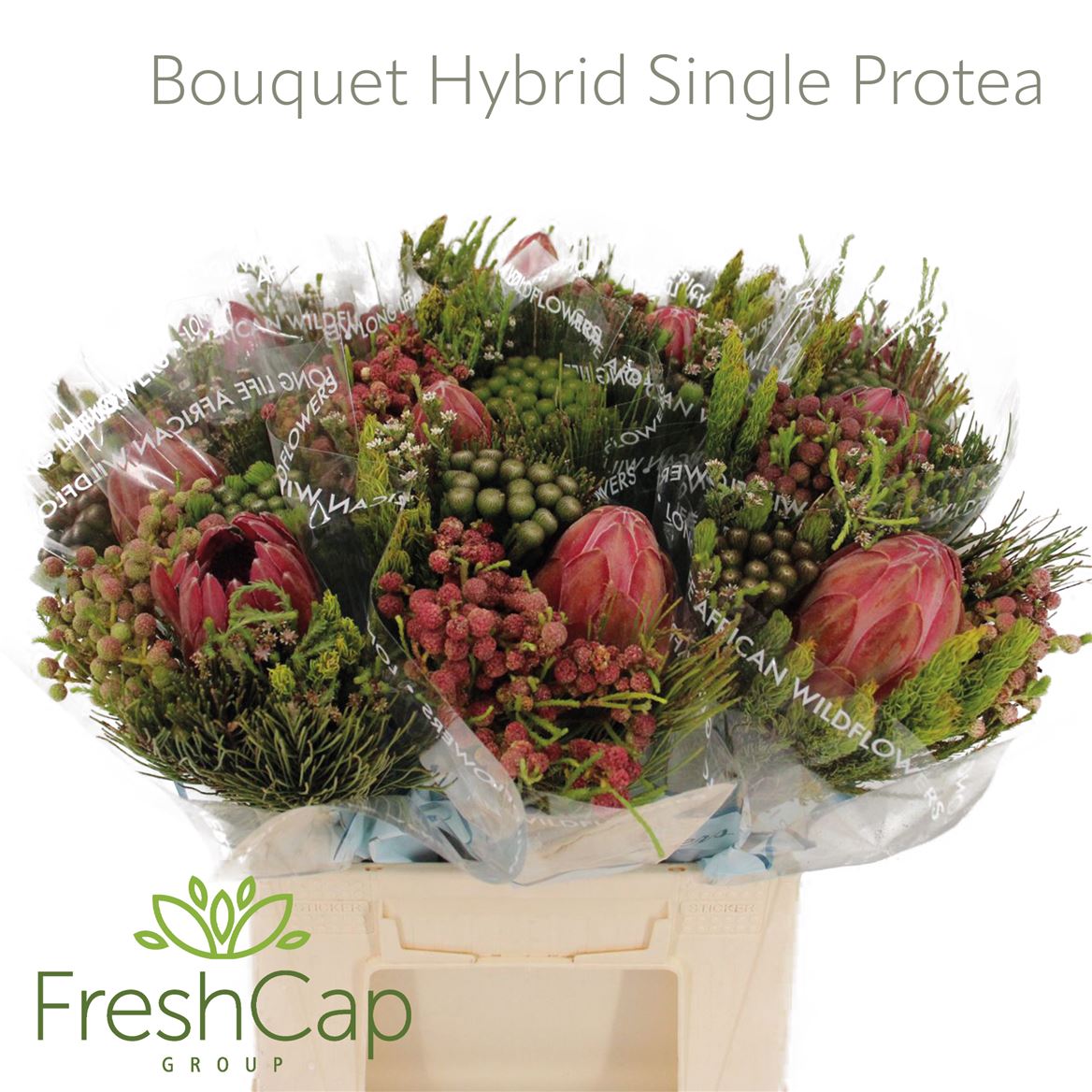 Bouquet Hybrid Protea Mix 40cm
