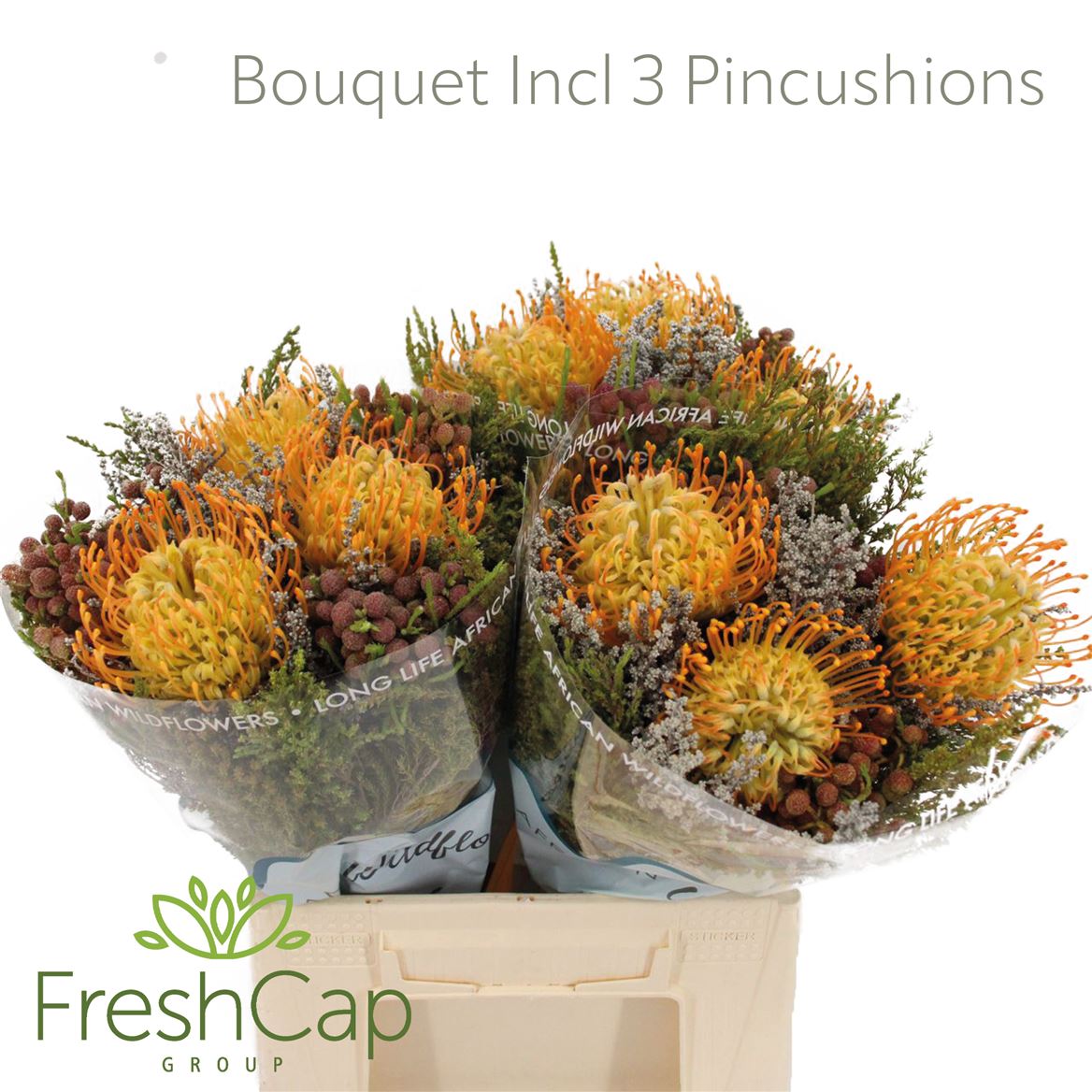 Brunia Cape Mix Bunch 40cm