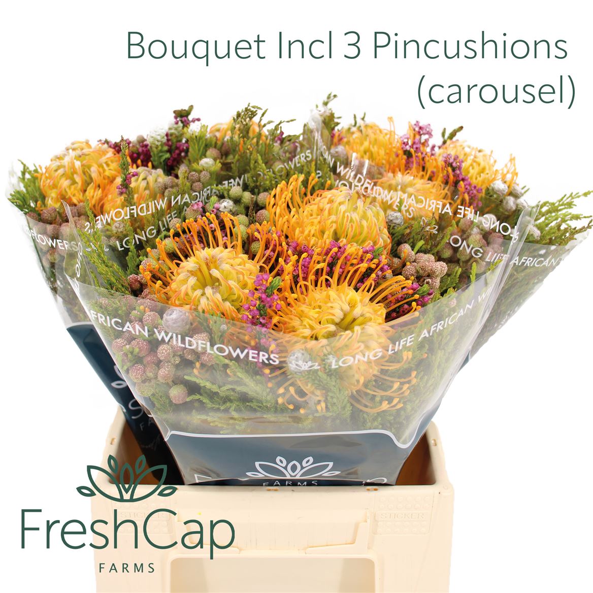 Cape Green Mixed In Bunch (BERZELIA) 40cm