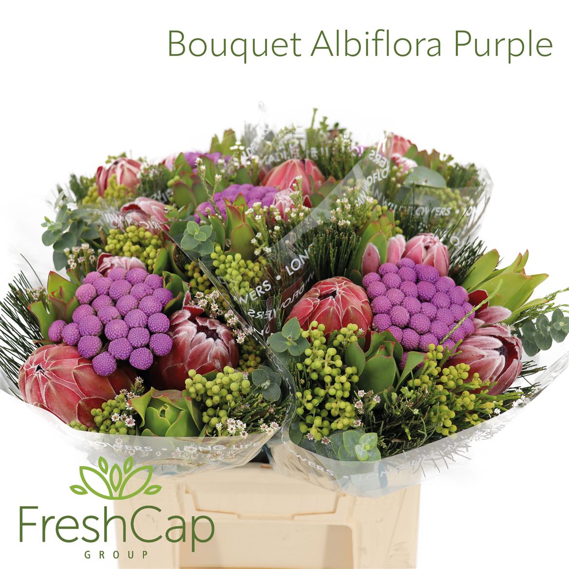 Brunia Cape Mix Bunch 40cm