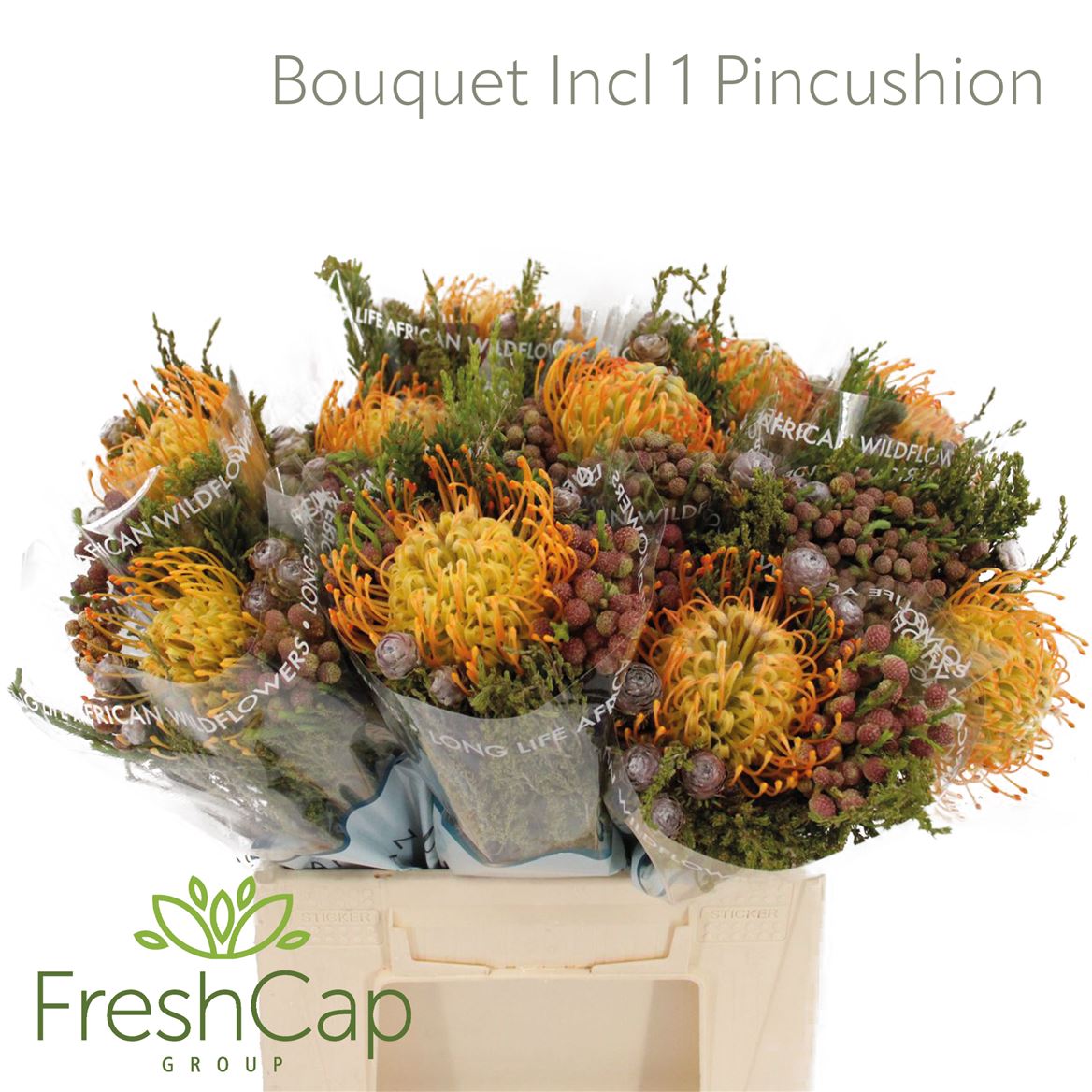 Cape Green Mixed In Bunch (BERZELIA) 40cm