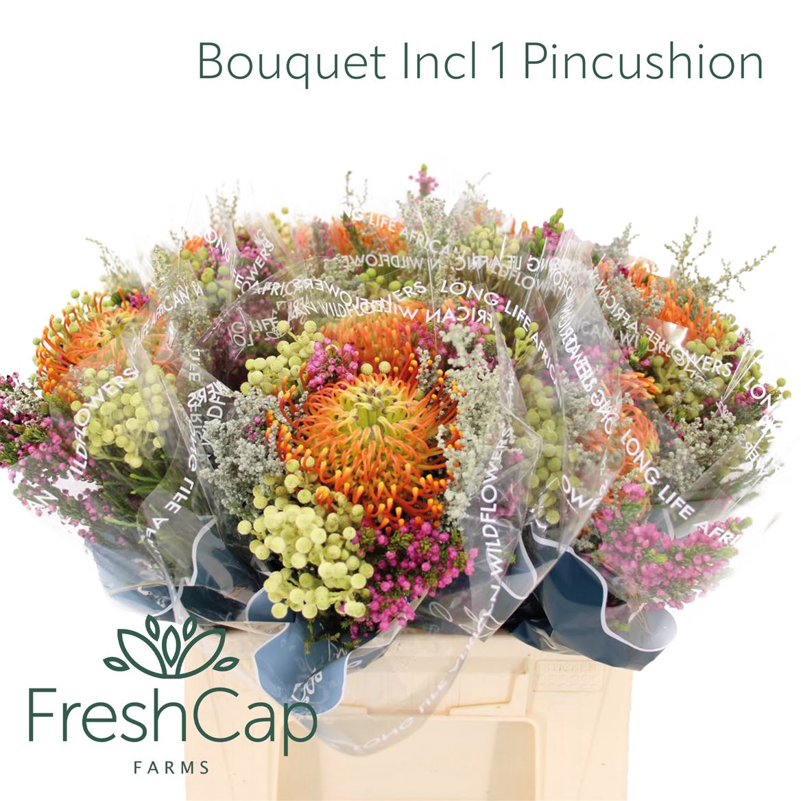 Bouquet Protea Pincushion 40cm