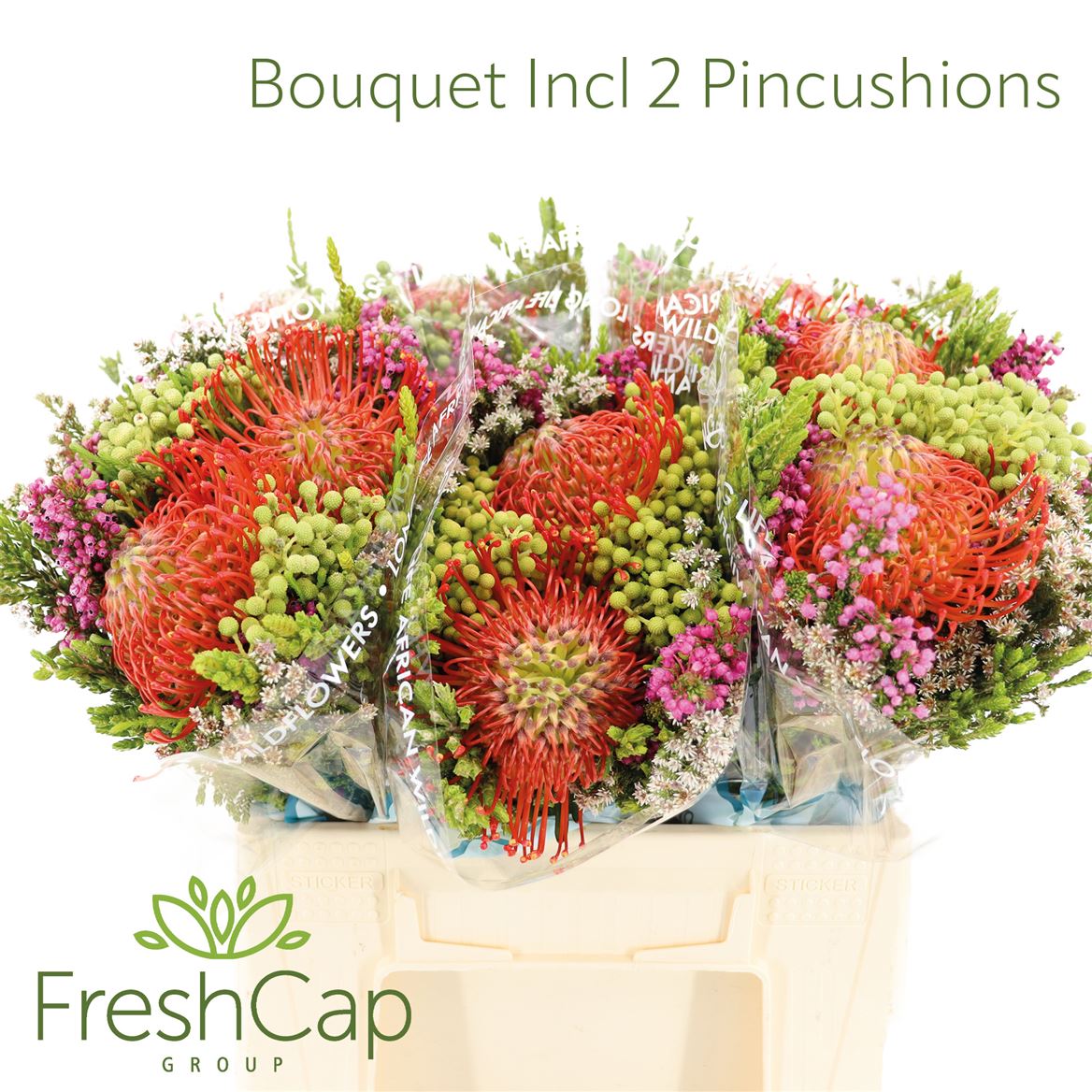 Cape Green Mixed In Bunch (BERZELIA) 40cm