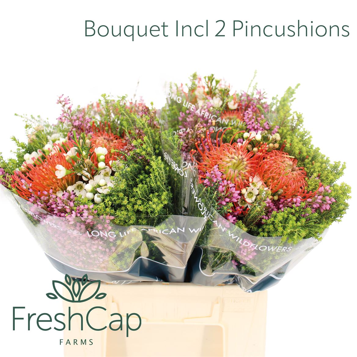 Brunia Cape Mix Bunch 40cm